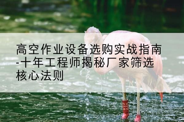 射洪剪叉式升降机厂家-高空作业设备选购实战指南-十年工程师揭秘厂家筛选核心法则
