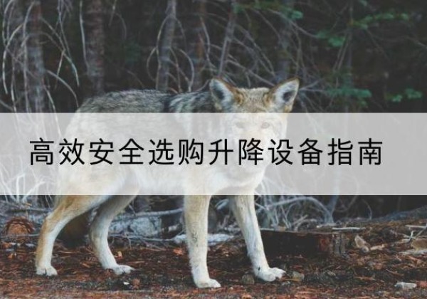 射洪升降货梯厂家推荐-*安全选购升降设备指南