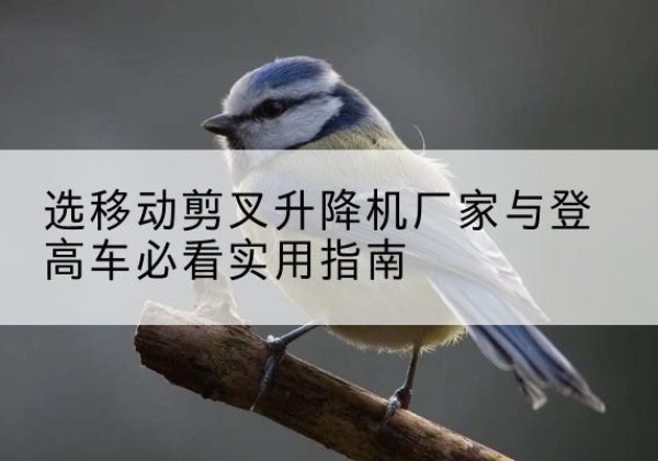 射洪电动升降机厂家-选移动剪叉升降机厂家与登高车必看实用指南