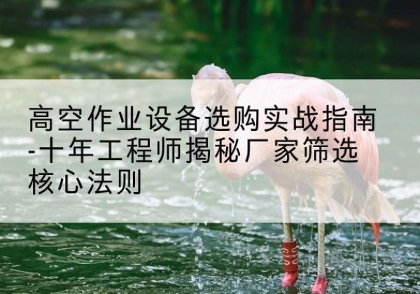 射洪剪叉式升降机厂家-高空作业设备选购实战指南-十年工程师揭秘厂家筛选核心法则