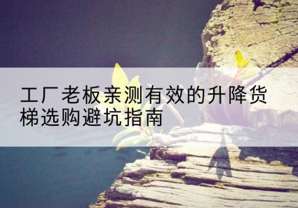 射洪升降货梯怎么选-工厂老板亲测有效的升降货梯选购避坑指南